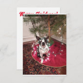 Christmas Boston Terrier Dolly Karte (Vorne/Hinten)