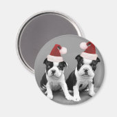 Christmas Boston Terriers Magnet (Vorderseite/Rückseite)