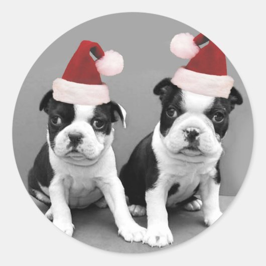 Christmas Boston Terriers Runder Aufkleber (Vorderseite)