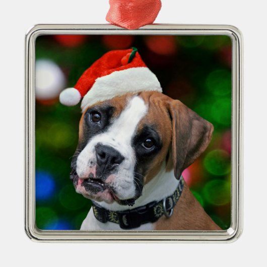 Christmas Boxer Silbernes Ornament (Vorne)