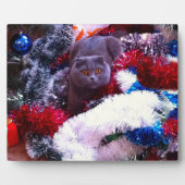 Christmas British Blue Fotoplatte (Vorderseite)