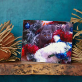 Christmas British Blue Fotoplatte (Seite)