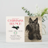 Christmas Brunch Party Scottie Dog Foto Green Einladung (Stehend Vorderseite)