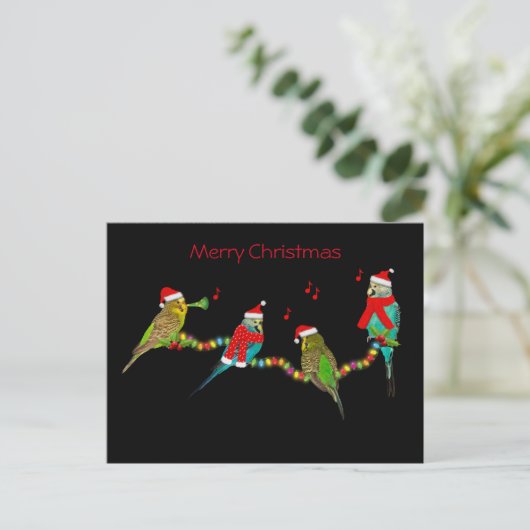 Christmas Budgie Frenzy Postcard Postkarte (Stehend Vorderseite)