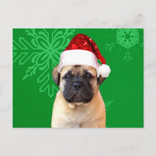 Christmas Bullmastiff Feiertagspostkarte (Vorderseite)
