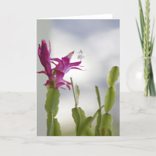 Christmas Cactus Shadow Fairy Feiertagskarte