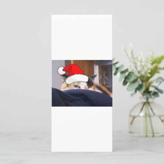 Christmas Calico Cat (Stehend Vorderseite)