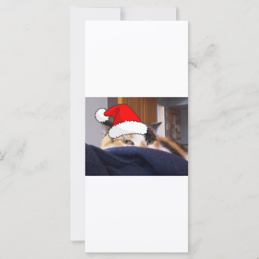 Christmas Calico Cat (Vorderseite)