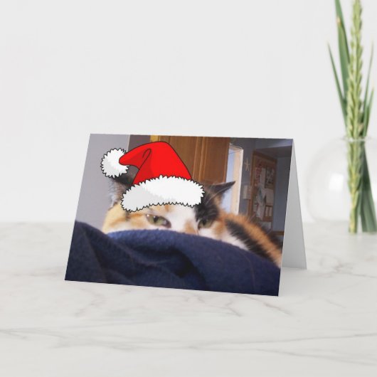 Christmas Calico Cat Feiertagskarte (Vorderseite)