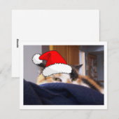 Christmas Calico Cat Feiertagskarte (Vorne/Hinten)
