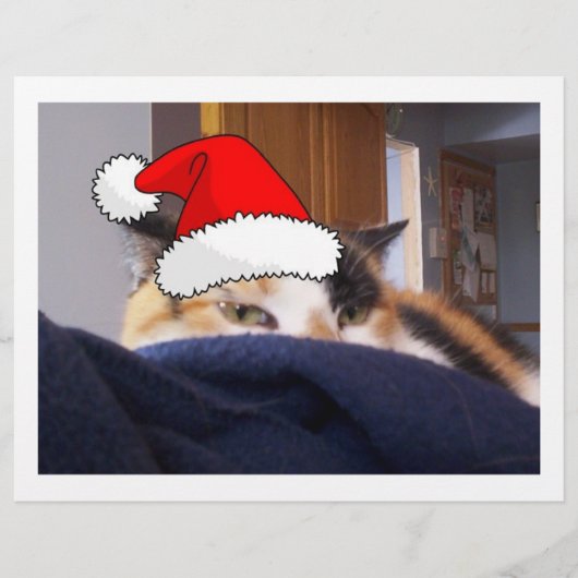 Christmas Calico Cat Flyer (Vorne)