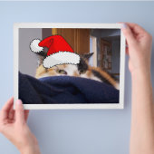 Christmas Calico Cat Flyer (Hand)