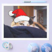 Christmas Calico Cat Flyer (Einzeln)