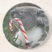 Christmas Candy Cane Koala Sandstein Untersetzer (Vorne)