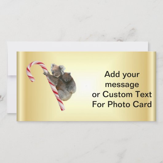 Christmas Candy Cane Koalas Feiertagskarte (Vorderseite)