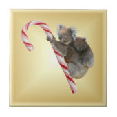 Christmas Candy Cane Koalas Fliese (Vorderseite)