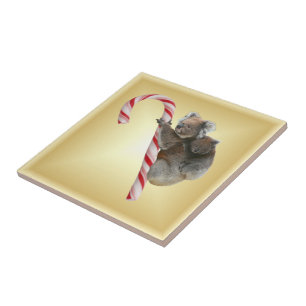 Christmas Candy Cane Koalas Fliese