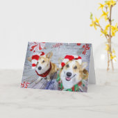 Christmas Candy Shop Corgis Karte (Gelbe Blume)