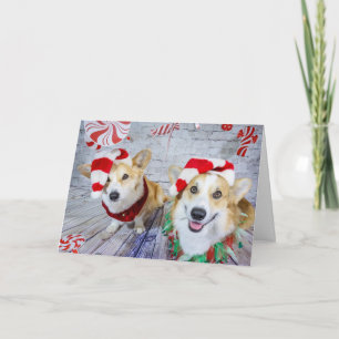 Christmas Candy Shop Corgis Karte