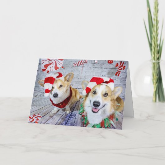 Christmas Candy Shop Corgis Karte (Vorderseite)