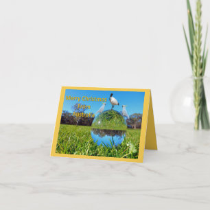 Christmas Card - Cockatoos and Ibis on Ball Karte