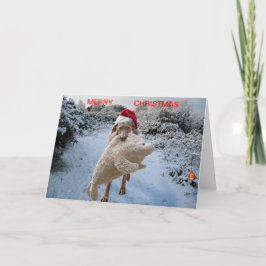 Christmas card feiertagskarte