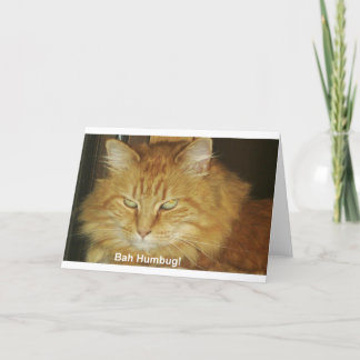 Christmas Card Feiertagskarte