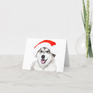 CHRISTMAS CARD HUSKY PUPPY MIT WEIHNACHTSMANNMÜTZE DANKESKARTE