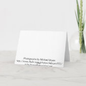 Christmas Card - Kardinal with Snowflakes Feiertagskarte (Rückseite)