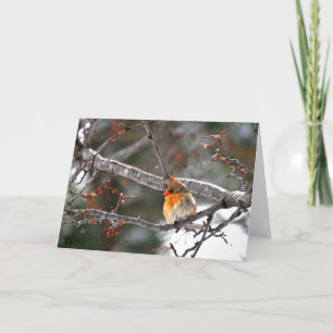 Christmas Card - Kardinal with Snowflakes Feiertagskarte