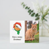 Christmas Cat Foto Feiertagspostkarte (Stehend Vorderseite)