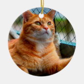 Christmas Cat Foto Keramik Ornament (Vorne)