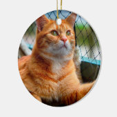 Christmas Cat Foto Keramik Ornament (Links)