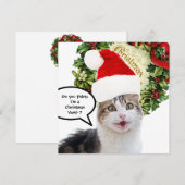CHRISTMAS CAT ,gepflegt Feiertagskarte (Vorne/Hinten)