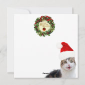 CHRISTMAS CAT ,gepflegt Feiertagskarte (Rückseite)