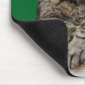 Christmas Cat Humbug Foto mit Weihnachtsmannmütze Mousepad (Ecke)