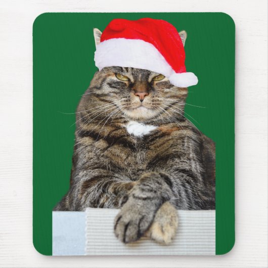 Christmas Cat Humbug Foto mit Weihnachtsmannmütze Mousepad (Vorne)