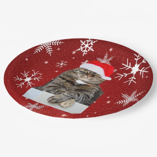 Christmas Cat Humbug Foto mit Weihnachtsmannmütze Pappteller (Schrägansicht)