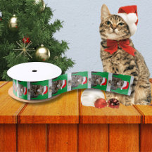 Christmas Cat Humbug Foto mit Weihnachtsmannmütze