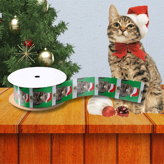 Christmas Cat Humbug Foto mit Weihnachtsmannmütze Satinband