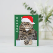 Christmas Cat Humbug Foto Postcard Feiertagspostkarte (Stehend Vorderseite)