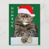 Christmas Cat Humbug Foto Postcard Feiertagspostkarte (Vorderseite)