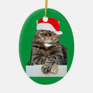 Christmas Cat Humbug Foto von oval Ornament