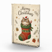 Christmas Cat in Stocking Fotoblock (Rechts)