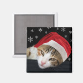 Christmas Cat Magnet (Vorderseite/Rückseite)