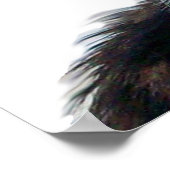 CHRISTMAS CAT MIT SANTA CLAUS HAT POSTER (Ecke)