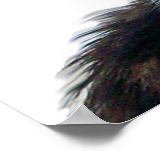 CHRISTMAS CAT MIT SANTA CLAUS HAT POSTER (Ecke)