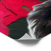 CHRISTMAS CAT MIT SANTA CLAUS HAT UND POINSETTIS POSTER (Ecke)