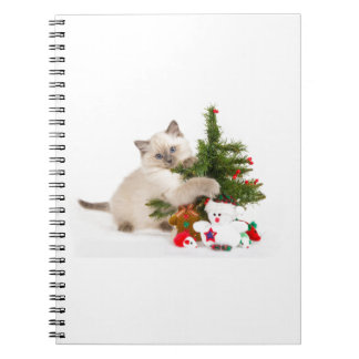 Christmas cat notizblock
