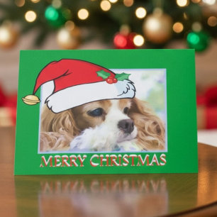 Christmas Cavalier King Charles Spaniel Card Feiertagskarte
